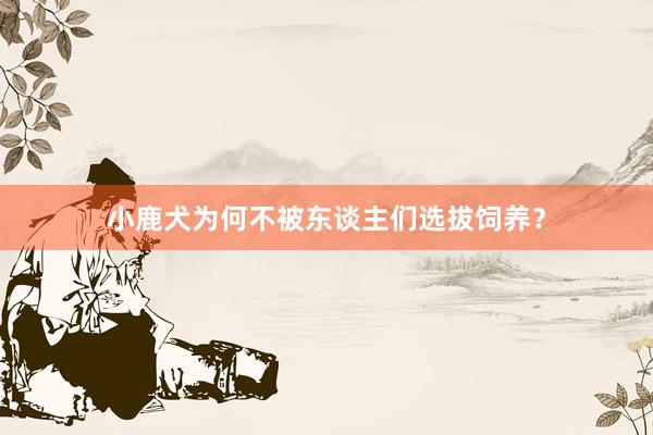 小鹿犬为何不被东谈主们选拔饲养?