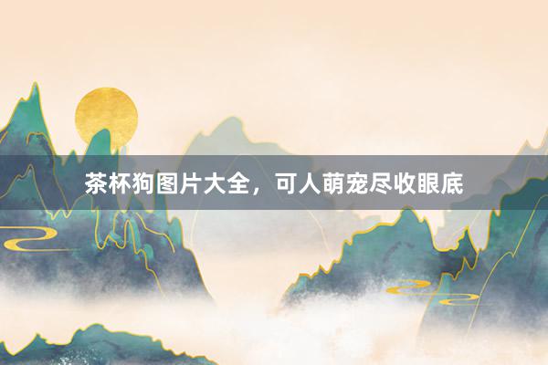 茶杯狗图片大全，可人萌宠尽收眼底