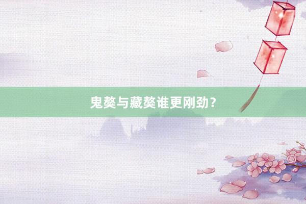 鬼獒与藏獒谁更刚劲?