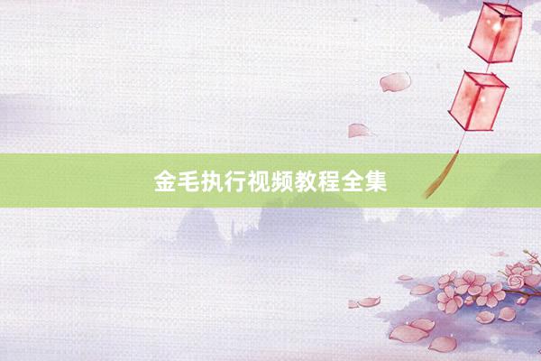 金毛执行视频教程全集